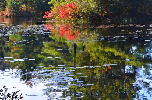 autumn johnjmurphyiii connecticut bigelowhollow statepark nipmuck stateforest usa 06076 foliage