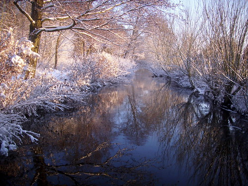 schnee sun snow creek bach sonne refection reflektion explored krückau