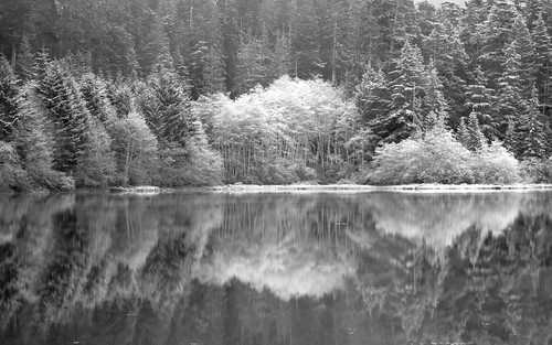 trees bw white water reflections frost ngc hdr nikond7000 earthnaturelife