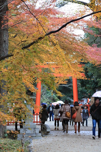 Autumn SHIMOGAMO-JINJA 下鴨神社