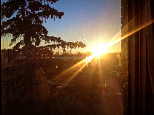 sunset window glare screen iphone4s