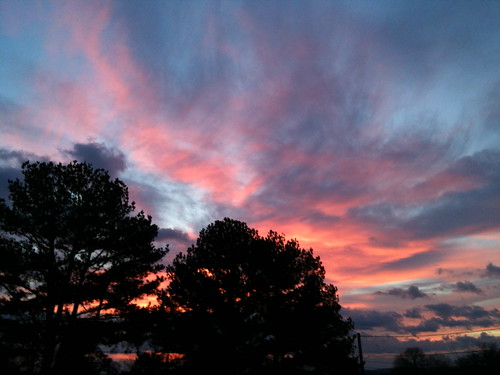 trees sunset sky skyline clouds greenwood arkansas arkansasbeauty