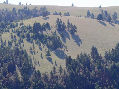 landscape montana g3 mikaelbehrens