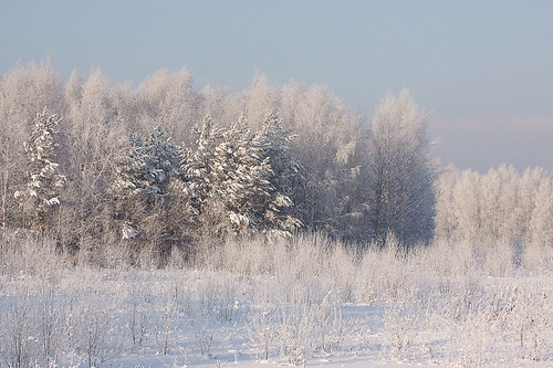 winter landscape frost russia tomsk россия пейзаж зима снег мороз томск иней