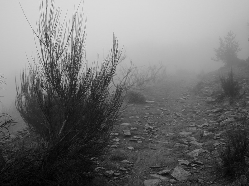 Descente vers St Jean du Gard sous le brouillard