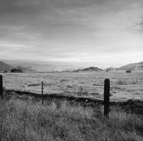 california bw 120 film analog mediumformat landscape blackwhite fuji 100asa centralvalley centralcalifornia porterville yashicamat springville fujiacros mat124 lakesuccess