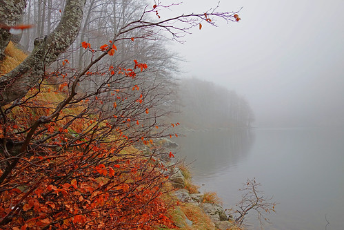 autumn lake fog landscape sony appennino lagosanto rx100 bestcapturesaoi elitegalleryaoi sonyrx100