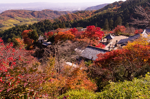 autumn red tree leaves architecture temple maple kyoto buddhism 京都 紅葉 k5 yoshiminedera 善峯寺 sigma1750mmf28exdchsm