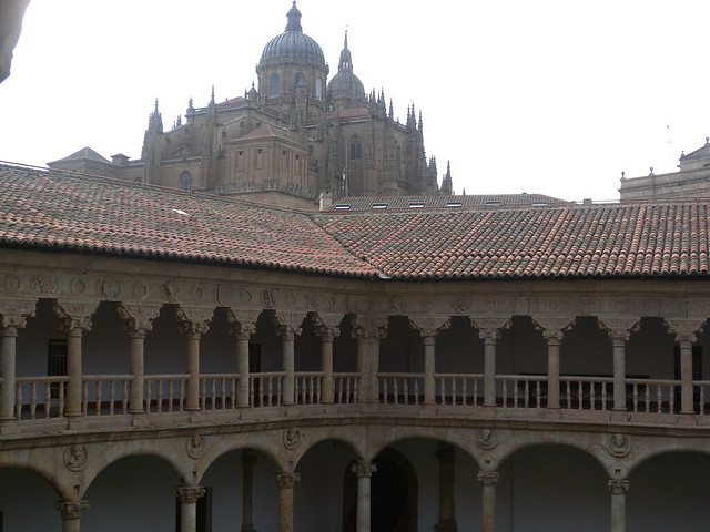Fin de semana en Salamanca - Blogs de España - ETAPA ÚNICA (45)
