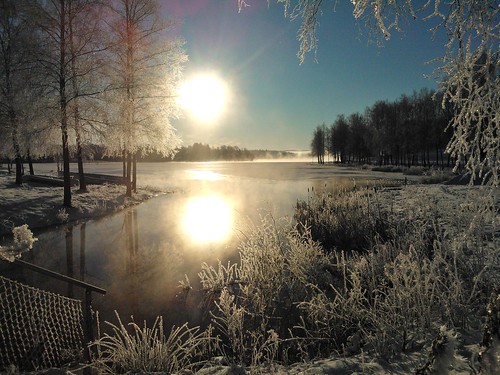 winter sun lake cold tree ice sunrise nokia frost varberg windowsphone karlgustav lumia800