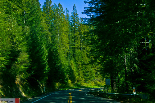 beautiful northerncalifornia serenity redwoods northcoast peaceofmind mendocinocounty californiahighway20
