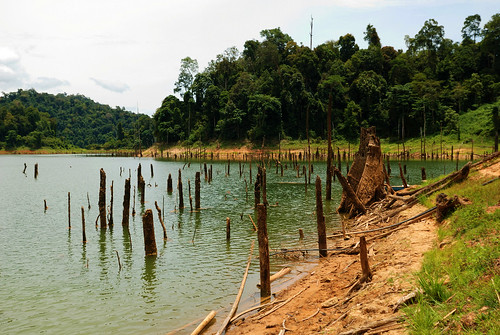 forest nikon reserve malaysia 1750 malesia tamron belum d80 aleame