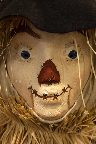 kansas ks scarecrow oz state fair face straw hutchinson