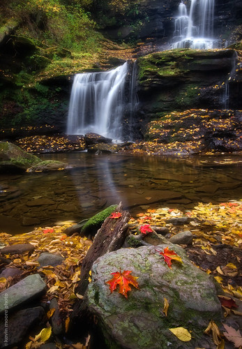 autumn fall nature leaves landscape waterfall foliage rickettssglen