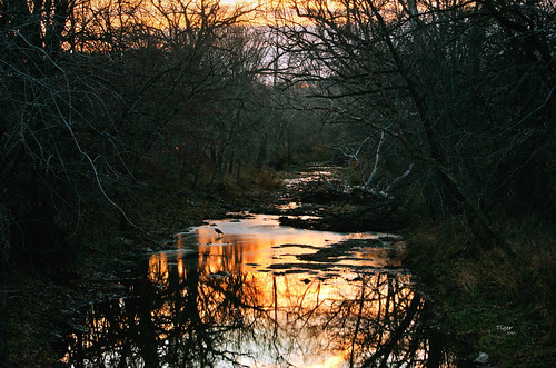 trees sunset orange nature water silhouette yellow creek reflections landscape fire landscapes illinois nikon stream scenic silhouettes sunsets burtoncreek quincyillinois nikond7000
