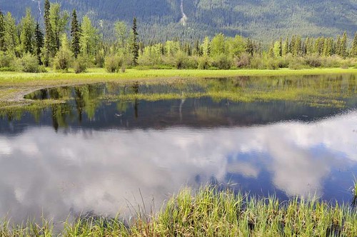 lake canada mountains reflection water landscape rockies jasper reflet alberta paysage montagnes