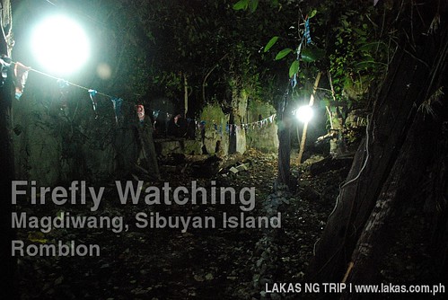 Firefly Watching in Magdiwang, Sibuyan Island, Romblon