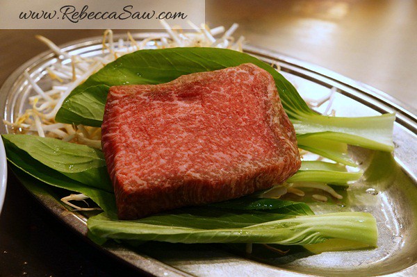 kobe beef lunch at steakland Kobe Osaka (10)