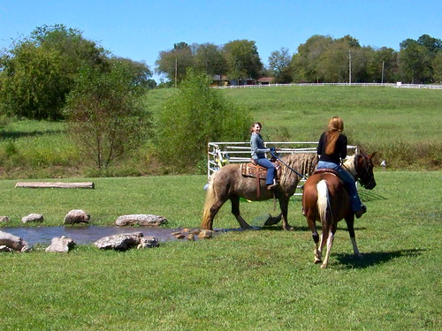 horse farm tennessee riding kelly horseback shelbyville clearview