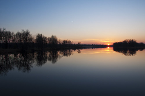 november trees sunset reflections landscape ottawa silhouettes ottawariver waterscape petrieisland