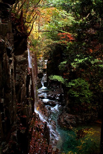 nature japan autumncolors 岐阜県 不動滝 gifupref 付知峡　岐阜県中津川市 20121114dsc01027