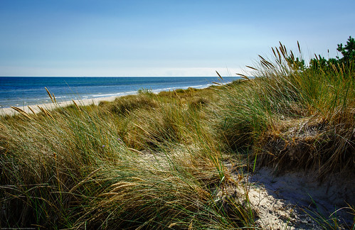 blue sea summer sky beach water reeds skåne sand ngc
