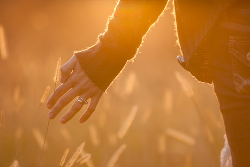 light sunset woman blur field grass sunshine standing golden sweater holding warm afternoon hand arm bokeh peaceful atmosphere sunny highlights calm ring jeans hip virginiabeach tones stalk magichour rimlight mylovelywife andrezza