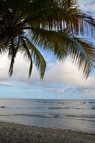 beach puertorico palmtrees caribbean 2012 patillas november2012