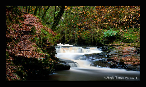 autumn trees brown green nature water yellow river photography waterfall autumnleaves clareglens cotipperary siobhanhayes simplyphotographyie