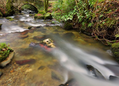 world kilkenny ireland nature landscape flickr sony alpha a99 framedlife petrpetr stl99