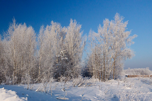 winter snow landscape frost russia tomsk россия пейзаж зима снег мороз томск иней псветлый 38°с