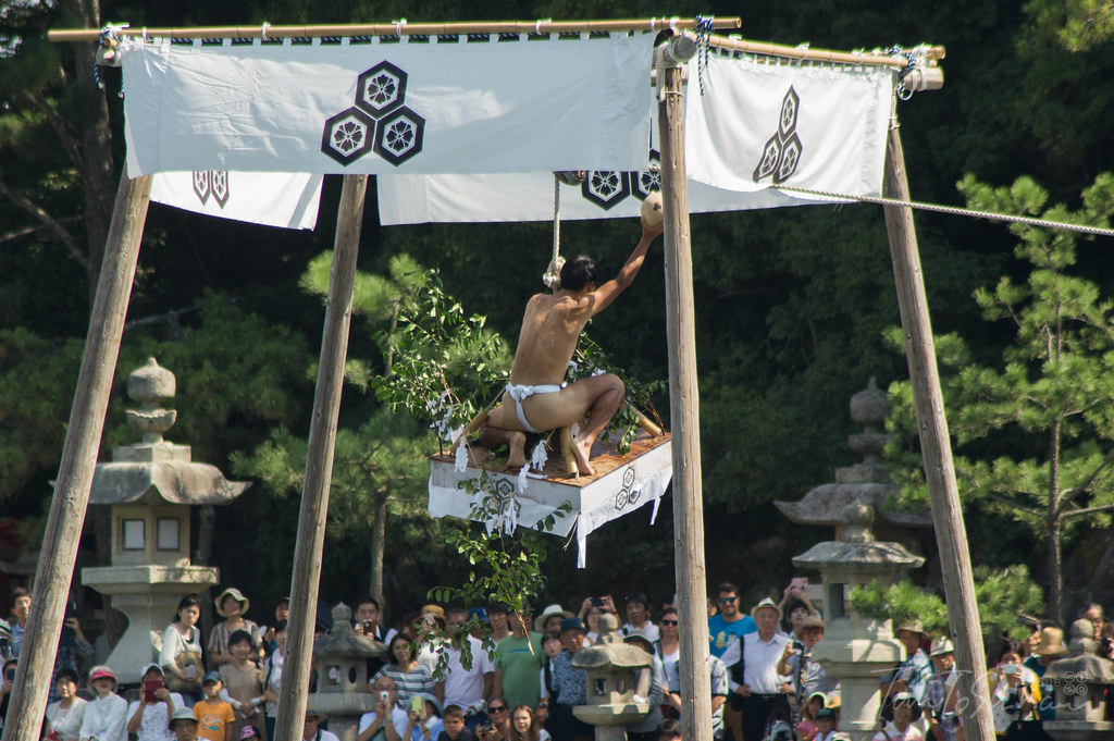 厳島神社　玉取祭 2016 (Itsuku-shima shrine TAMATORI Festival 2016)