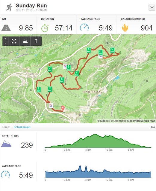 Schwarzwälder Schinkenlauf (9.9K race/9,9 km Lauf), 11th September 2016, Baden, Germany