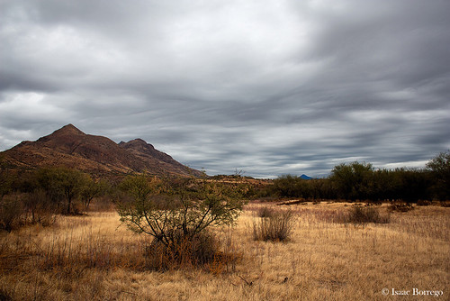 sonoita grassland plants mountains trees clouds arizona canonrebelxsi desert unitedstates america