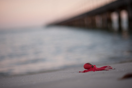 red beach landscape pier melbourne victoria rye octopus