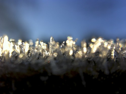 Ice Crystals In Morning Sunlight