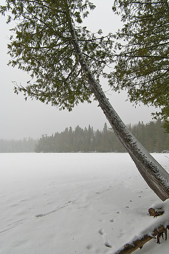 winter snow canada tree ice fog landscape pentax manitoba huntlake k20d nelepl