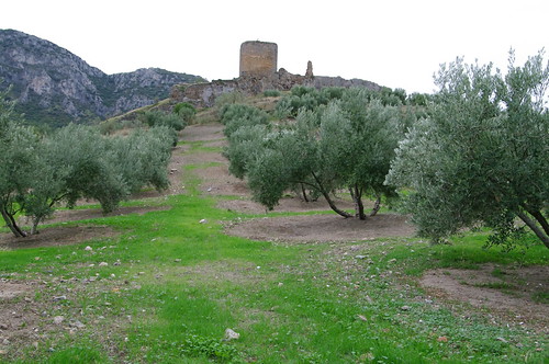 Castillo Víboras