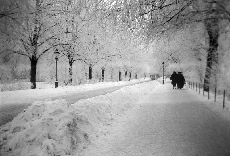 Karlavägen street in snow, Stockholm, Uppland, Sweden