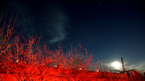 red tree night clouds project lens stars landscape long exposure shot dynamic angle bright wide 25 alpha a55 khafiz khashimov хафиз хашимов sal18135