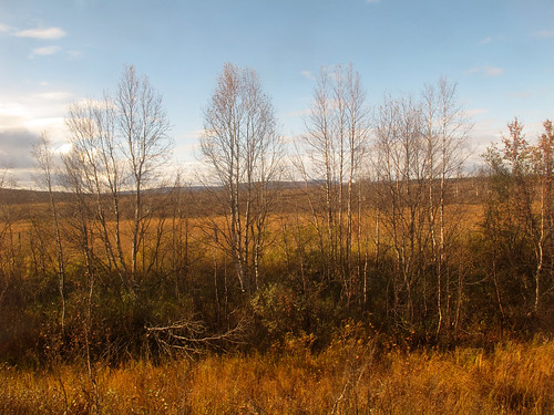 autumn fall landscape geotagged sweden lappland herfst september lapland sverige höst 2012 landschap zweden norrbotten sapmi sápmi geo:lat=6741038878 geo:lon=2010077477