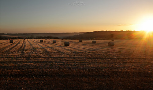cold field sunrise canon sigma 7d sunburst hay bales ashton 1020