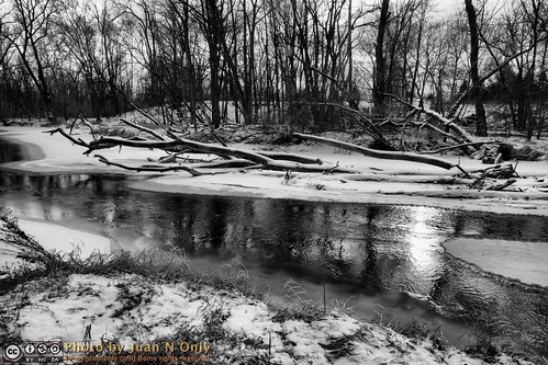 park trees winter blackandwhite snow ice monochrome river landscape blackwhite outdoor michigan grayscale sterlingheights clintonriver 2013 clintonriverpark juannonly