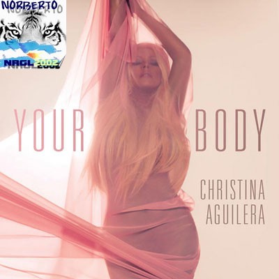 Christina Aguilera - Your Body (Phil Monnerat  Remix)
