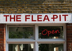 The flea pit