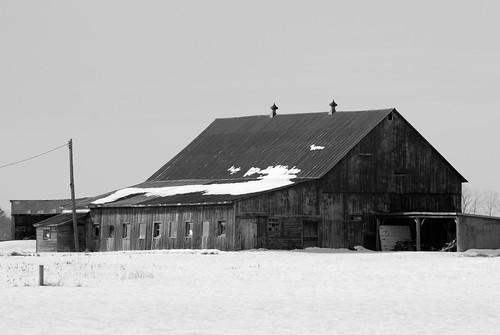 old winter bw ontario buildings landscape outdoors barns wintertime