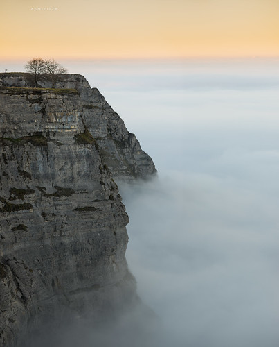 sunset fog cliffs 100mm explore niebla beech haya nervión delika zf2 makroplanart2100