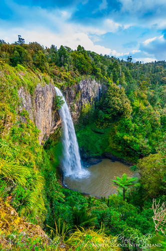 newzealand green fall water forest waterfall waikato northisland lush raglan bridalfalls