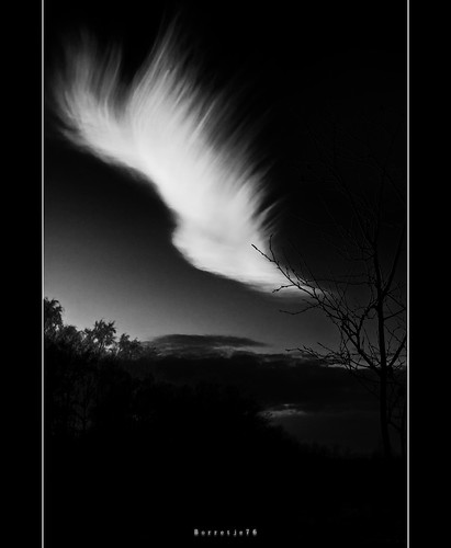sunset cloud white black tree clouds 35mm sam zwartwit sony boom 18 zwart wit enschede cirrus wolk uncinus a580 watjes borretje76 sony35mm18sam