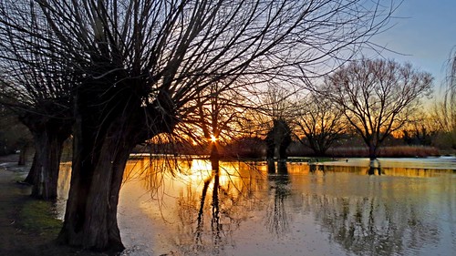 light sun water sunrise river bedford dawn twilight flood bedfordshire felton robertfelton theembankment thegreatouse